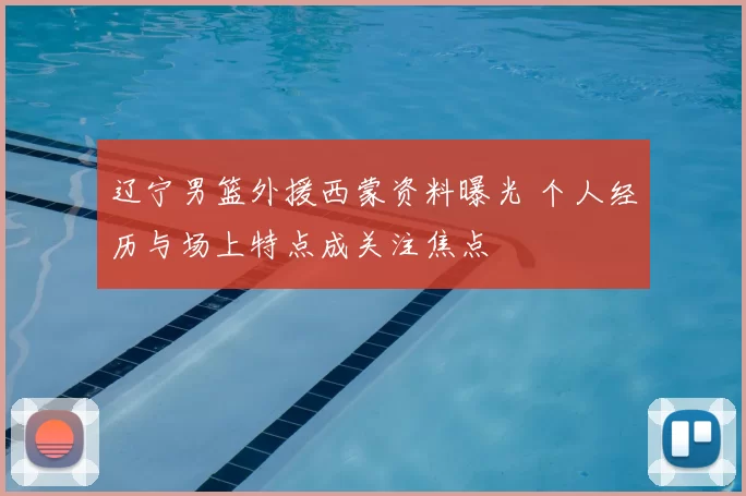 辽宁男篮外援西蒙资料曝光 个人经历与场上特点成关注焦点