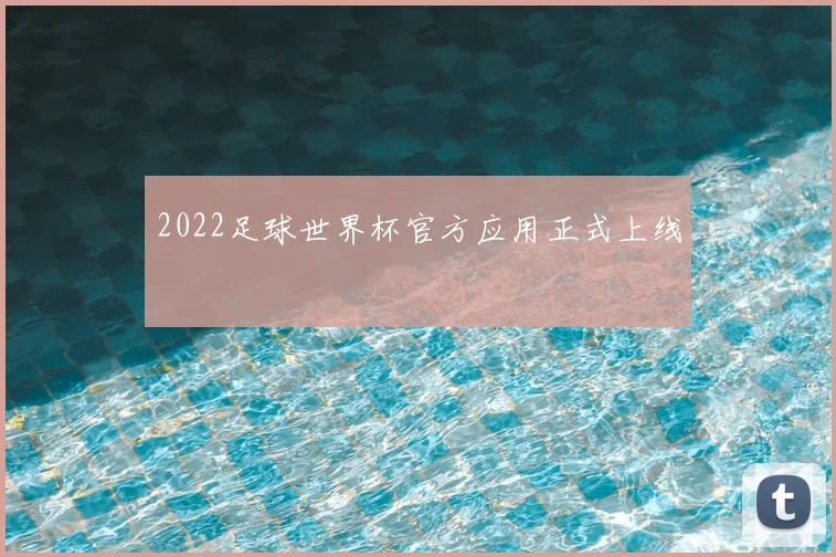 2022足球世界杯官方应用正式上线