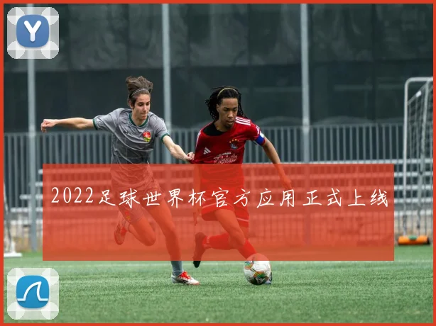 2022足球世界杯官方应用正式上线